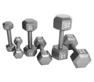 Troy Barbell Gray Hex Steel Dumbbells.