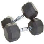 Troy Barbell 8-Sided Commercial Rubber Dumbbells.