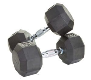 Troy Barbell 8-Sided Commercial Rubber Dumbbells.