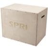 SPRI 3-Way Plyo Box.