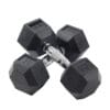 Inspire Rubber Hex Dumbbell Set 2 10 pounds.