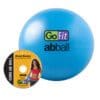 GoFit Core Ab Ball with disk.