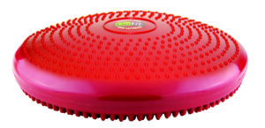 GoFit Core Stability and Balance Disk.