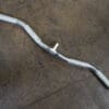 Body Solid Aluminum Curl Bar - Image 3