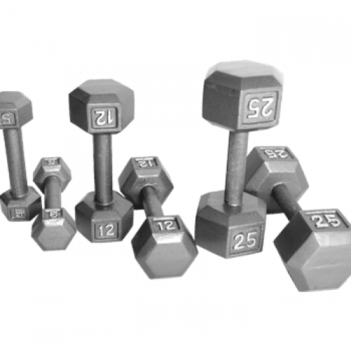 Troy Barbell Gray Hex Steel Dumbbells.
